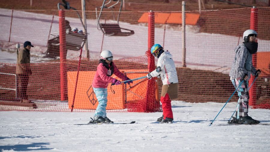 Seoul: Jisan Forest Winter Ski Day Tour with Basic Lesson - Key points at a glance