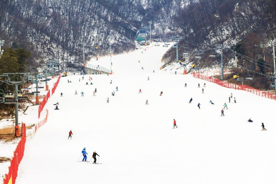 Seoul: Jisan Forest Winter Ski Day Tour with Basic Lesson - Why Jisan works for a first ski day