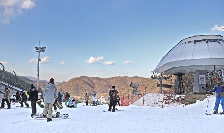Seoul: Jisan Forest Winter Ski Day Tour with Basic Lesson - What the one-hour basic lesson covers