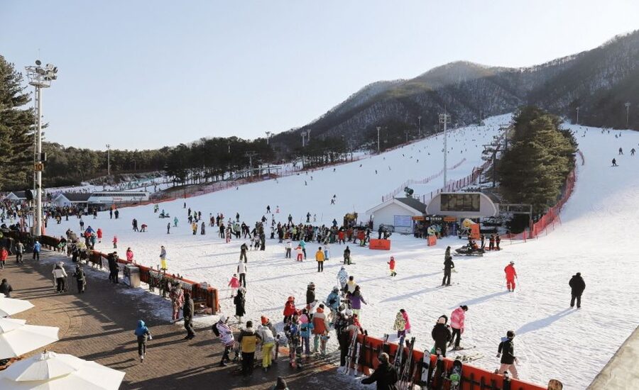Seoul: Jisan Forest Winter Ski Day Tour with Basic Lesson - Guides, communication, and meeting points