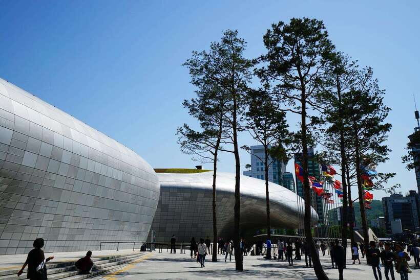 Seoul: Max Out Must Visit City Highlights Panoramic Day Tour - Passing Dongdaemun Design Plaza