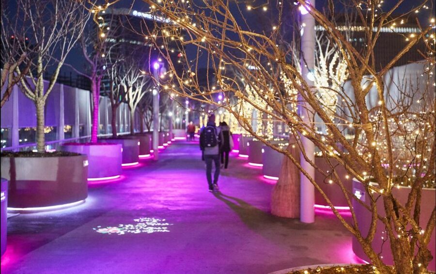 Seoul: Moonlight Rainbow Fountain Show Night Tour - Why this four-hour Seoul night tour works