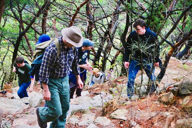 Seoul Mountain Hike: Temples, Folklore & Traditional Meal - Who Will Enjoy This Hike Most