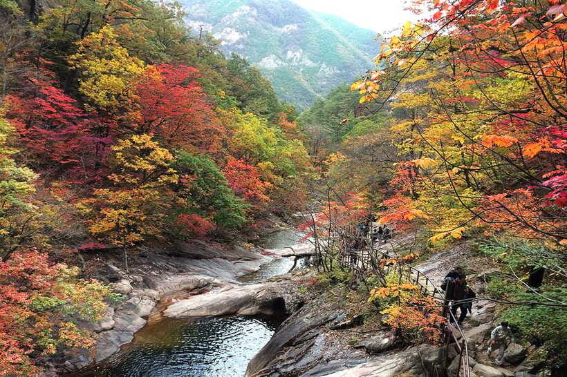 Seoul: Mt.Seorak(+CableCar Option)+Sokcho Fish Market&Beach - Practical advice for a smoother day