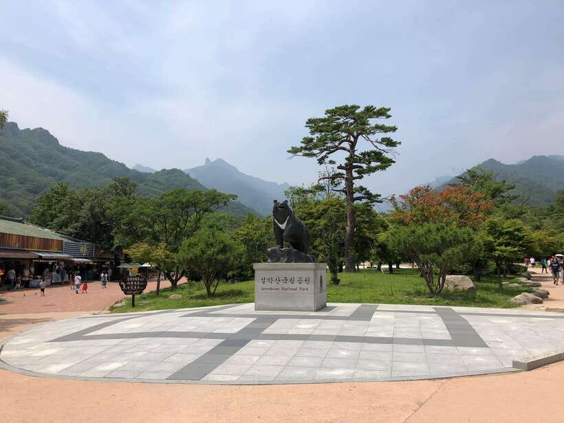 Seoul: Mt.Seorak(+CableCar Option)+Sokcho Fish Market&Beach - Choosing the Seoraksan cable car