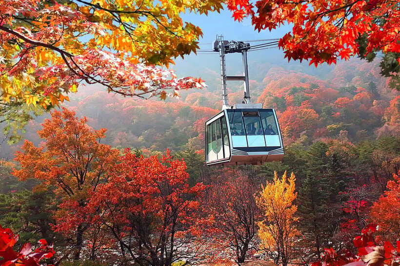 Seoul: Mt.Seorak(+CableCar Option)+Sokcho Fish Market&Beach - Eating your way through Sokcho Tourist Fishery Market