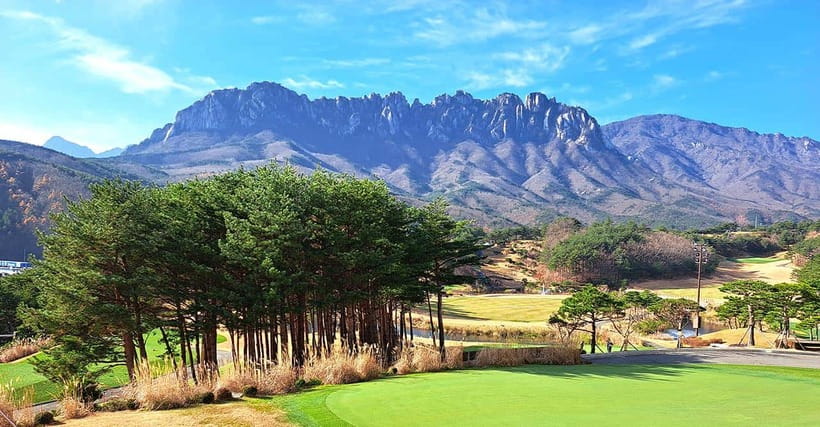 Seoul: Mt.Seorak(+CableCar Option)+Sokcho Fish Market&Beach - Who will enjoy this tour most