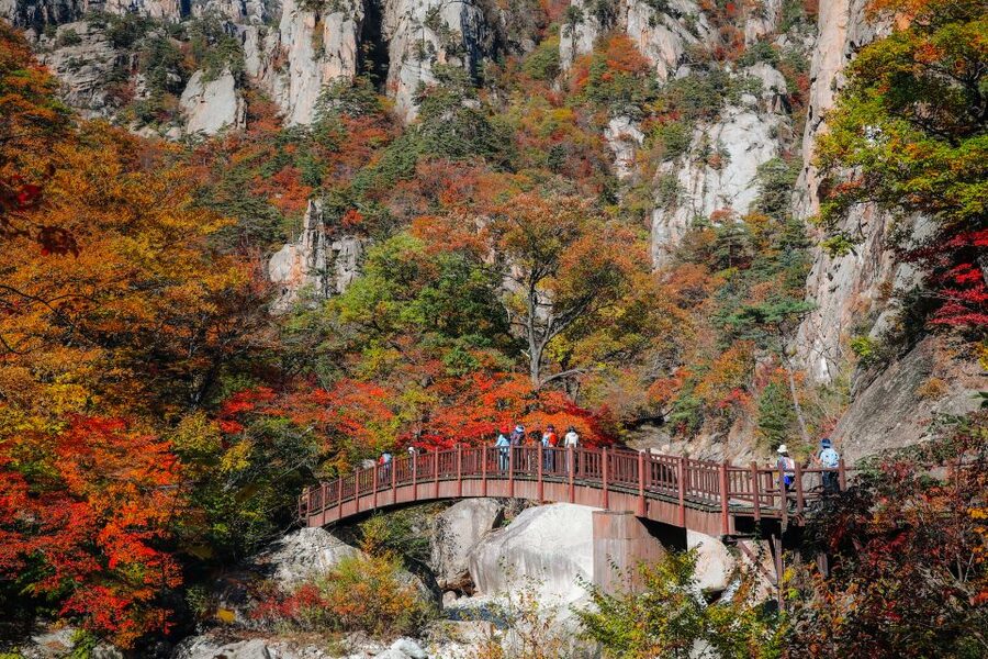 Seoul: Mt Seorak + Naksansa Temple or Nami Island Group Tour - Mt Seorak makes this long day worthwhile