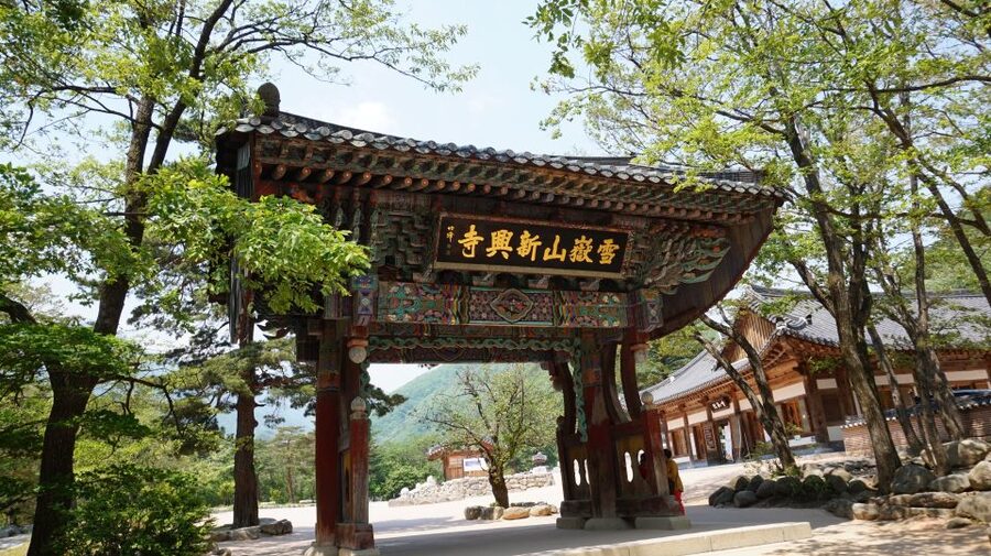 Seoul: Mt Seorak + Naksansa Temple or Nami Island Group Tour - Nami Island offers an easier second stop