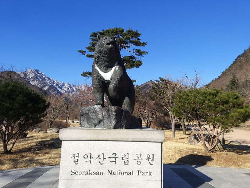 Seoul: Mt.Seorak, Nami Island & Korean Garden, No Shopping - Why this Seoul day trip works