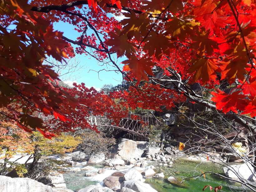 Seoul: Mt.Seorak, Nami Island & Korean Garden, No Shopping - Lunch and the value of a guided route