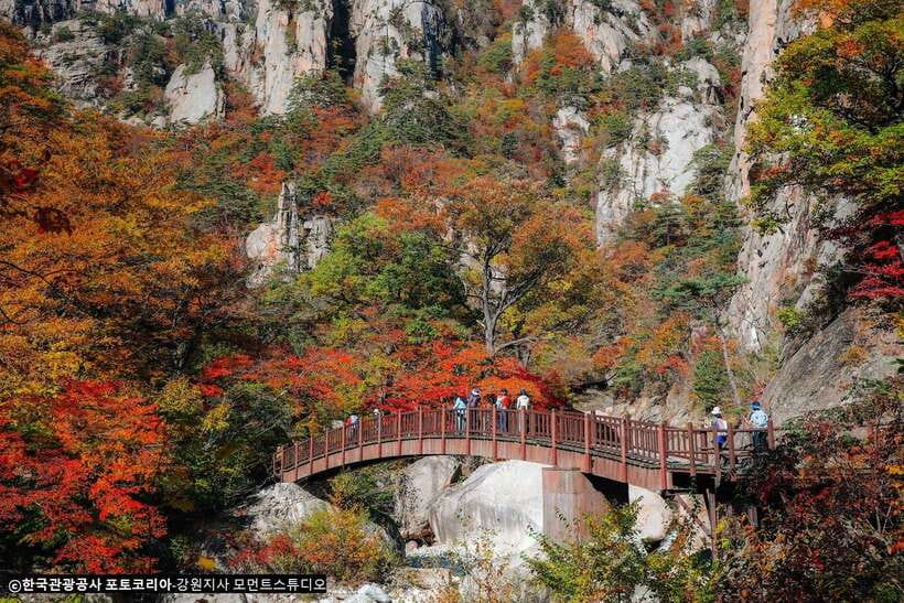 Seoul: Mt.Seorak, Nami Island, No Shopping(+RailBike Option) - Starting near Myeongdong or Hongdae