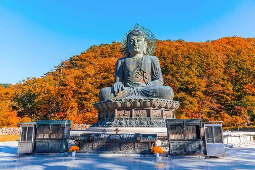 Seoul: Mt. Seoraksan National Park Autumn Foliage Day Tour - Key points to know before booking