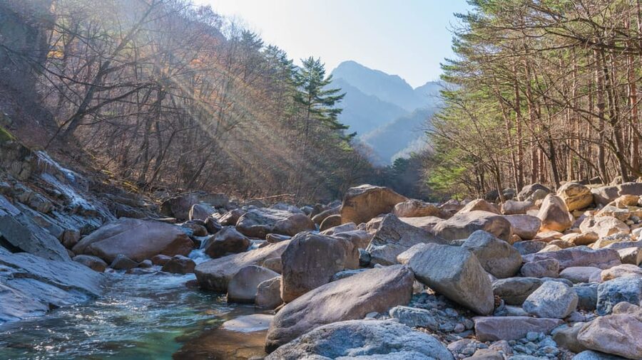 Seoul: Mt. Seoraksan National Park Autumn Foliage Day Tour - Who should book this Seoraksan day tour