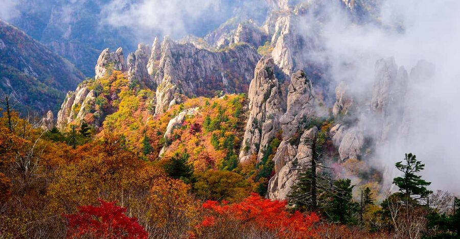 Seoul: Mt. Seoraksan National Park Autumn Foliage Day Tour - Five hours among Seoraksan’s autumn trails
