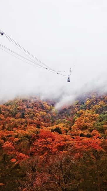 Seoul: Mt. Seoraksan National Park Autumn Foliage Day Tour - Cable car plans and what the $60 price covers