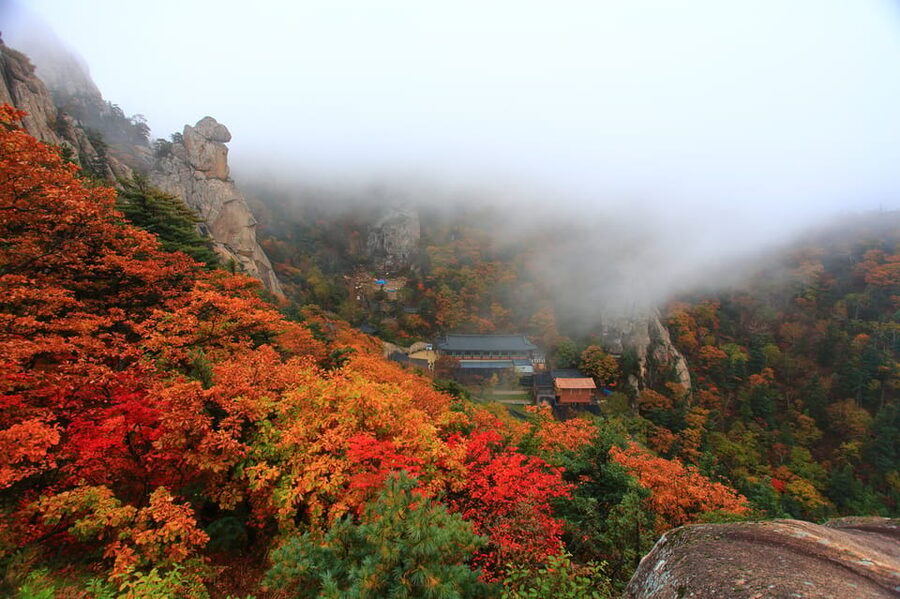 Seoul: Mt. Seoraksan National Park Autumn Foliage Day Tour - Guides, group support, and free time