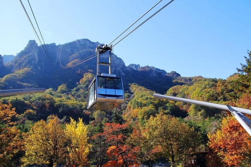Seoul: Mt. Seoraksan National Park Autumn Foliage Day Tour - Food, photos, and the practical rhythm of the day