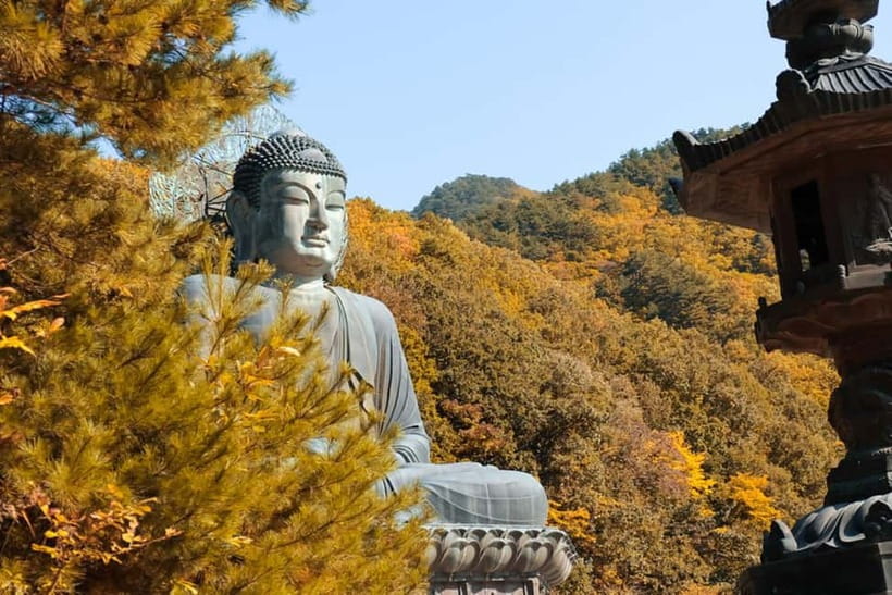Seoul: Mt. Seoraksan National Park Autumn Foliage Day Tour - The early road from Seoul to Gangwon Province