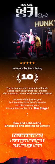 Seoul: Musical Hunky Show Experience - My verdict: book it for the mood, not the plot