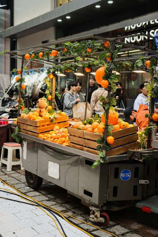 Seoul : Must-see & Hidden Gems Private Walking Tour - Gwangjang Market and the food side of Seoul