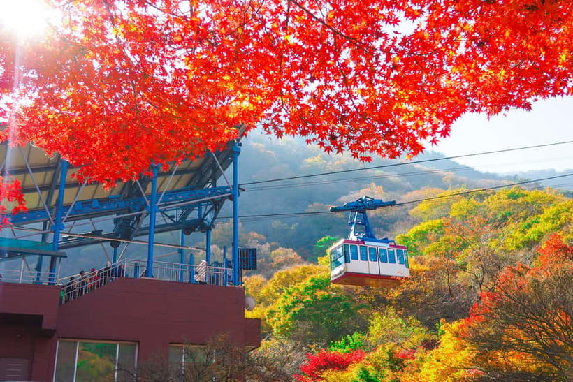 Seoul: Naejangsan National Park Autumn Foliage One Day Tour - Walking Toward Naejangsa Temple