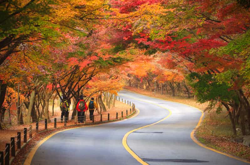 Seoul: Naejangsan National Park Autumn Foliage One Day Tour - The Early Journey from Seoul
