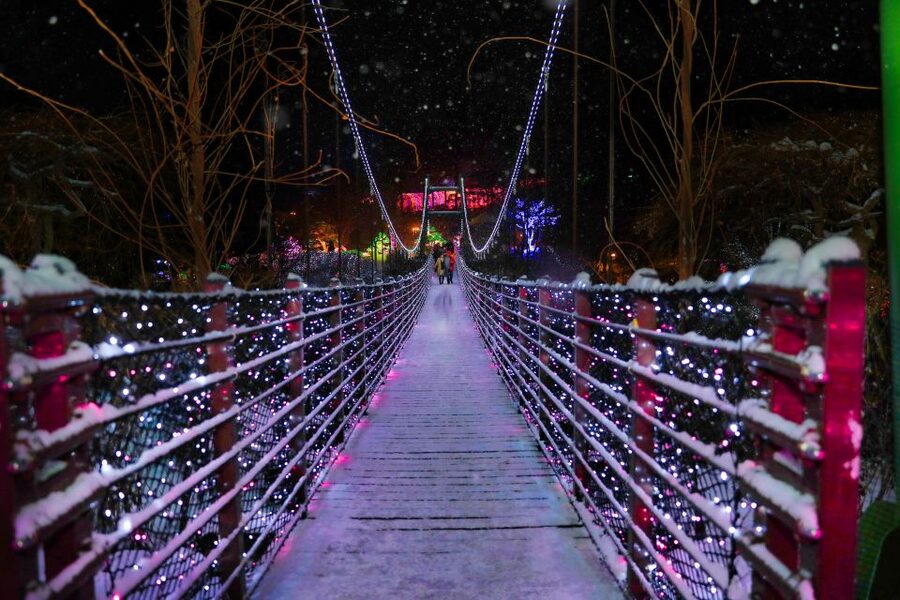 Seoul: Nami and Petite France Tour with Optional K-Garden - Who will enjoy this tour most