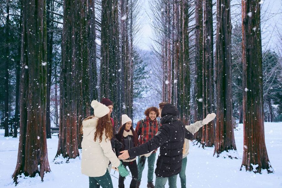 Seoul: Nami and Petite France Tour with Optional K-Garden - Italian Village and the Pinocchio and Da Vinci theme