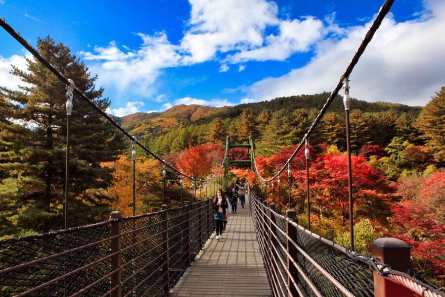 Seoul: Nami and Petite France Tour with Optional K-Garden - Transport, lunch, and the real value of $50