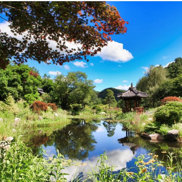 Seoul: Nami and Petite France Tour with Optional K-Garden - A practical schedule for a long day