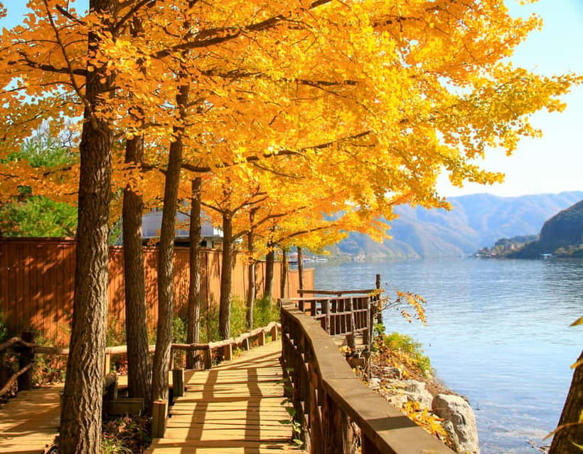 Seoul: Nami Island and Garden of Morning Calm opt Railbike - Should you book the Nami Island and Garden of Morning Calm tour?