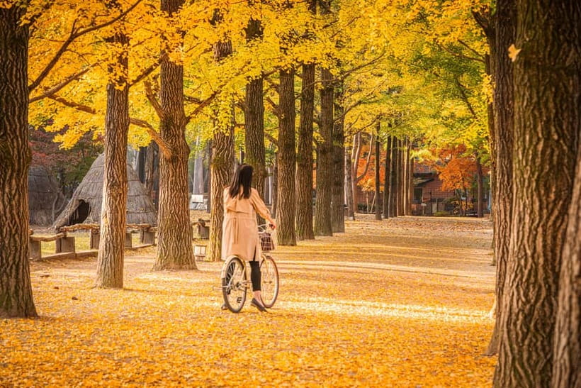 Seoul: Nami Island and Garden of Morning Calm opt Railbike - Why this makes sense as a Seoul day trip