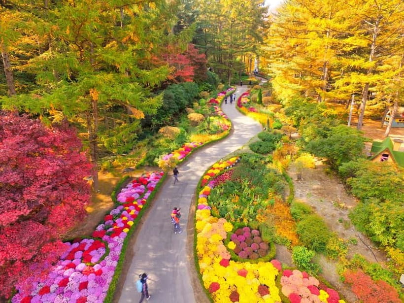 Seoul: Nami Island and Garden of Morning Calm opt Railbike - Who should book this outing