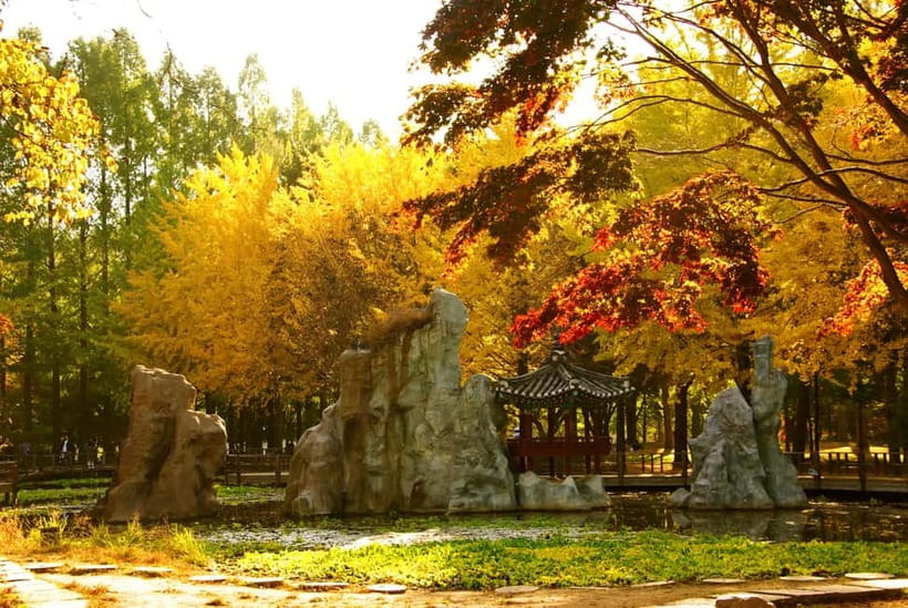 Seoul: Nami Island, Garden and Petite France (opt. Railbike) - Should you book this tour?