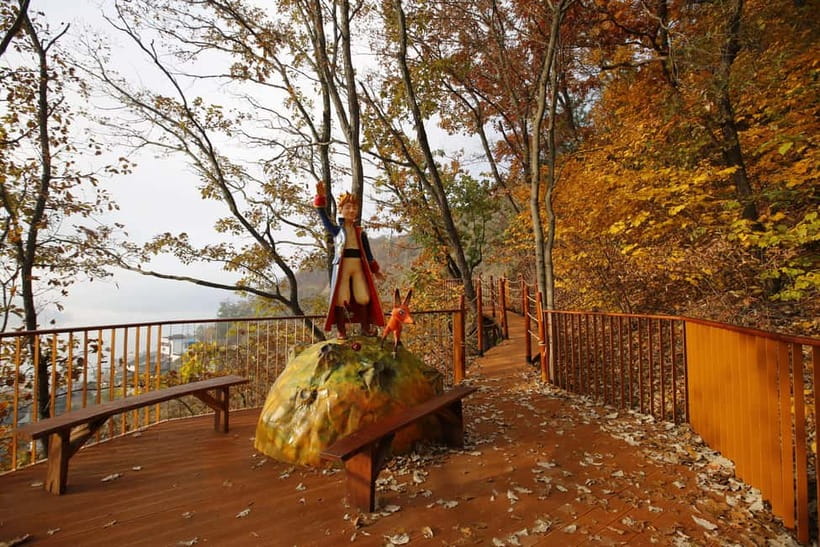 Seoul: Nami Island, Garden and Petite France (opt. Railbike) - Who should choose each package