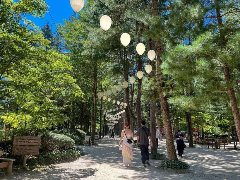 Seoul: Nami Island & Petite France Tour with Railbike Option - Pinocchio and Da Vinci Village, Korea’s Italian-themed stop