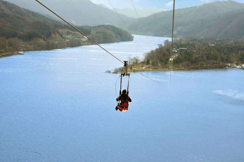 Seoul: Nami Island & Petite France Tour with Railbike Option - How much value do you get for $59?