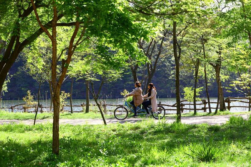 Seoul: Nami Island & Petite France Tour with Railbike Option - Petite France, 45 minutes of colorful photo stops