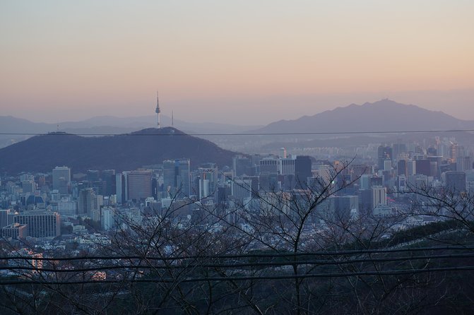 Seoul Night "Private Tour"(Korean BBQ, N-Tower, Seoul Fortress, Local Market) - Why Seoul works so well after sunset