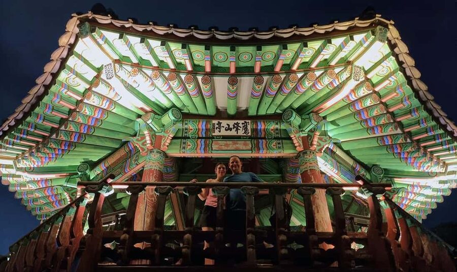 Seoul Night Tour: Naksan Park & Hidden Jems - The guide can shape the experience