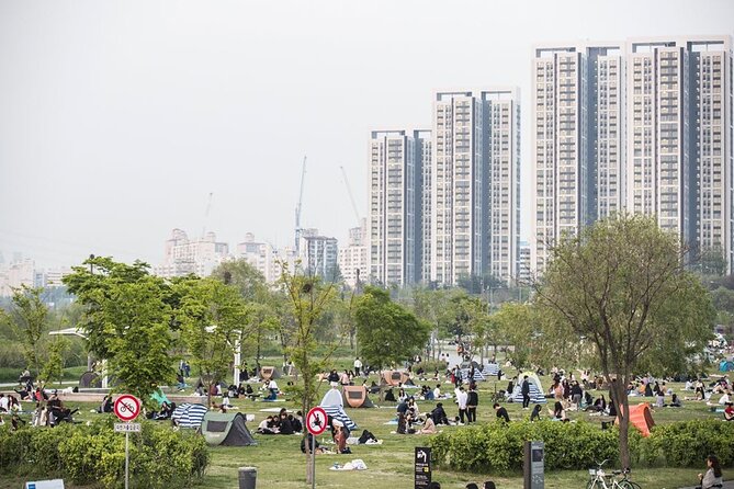 Seoul Night Tour with Han River Cruise and Gyeongbokgung Palace - What the private format really adds
