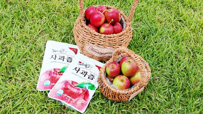 Seoul: Pocheon Art Valley, Garden and Fruit Picking Day Tour - Key points at a glance