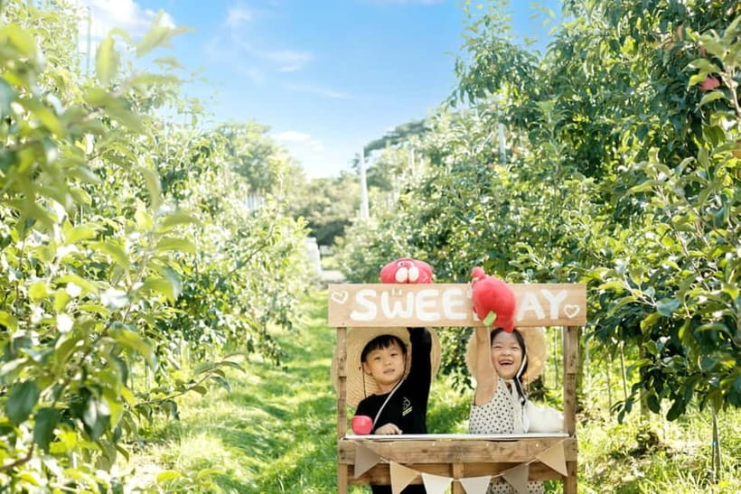 Seoul: Pocheon Art Valley, Garden and Fruit Picking Day Tour - Pocheon Art Valley and its quarry cliffs