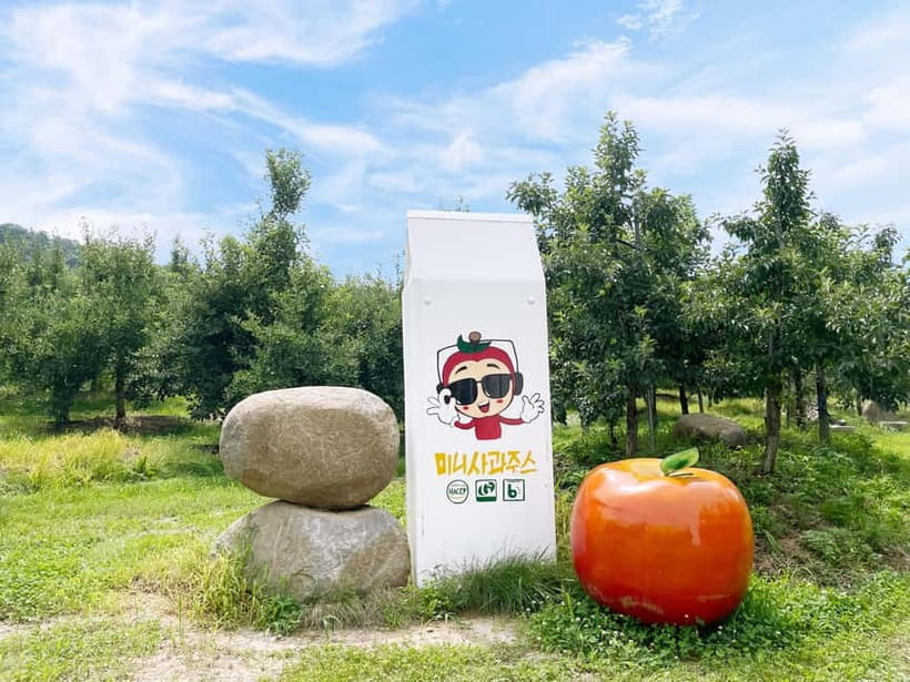 Seoul: Pocheon Art Valley, Garden and Fruit Picking Day Tour - Is $77 a fair price?