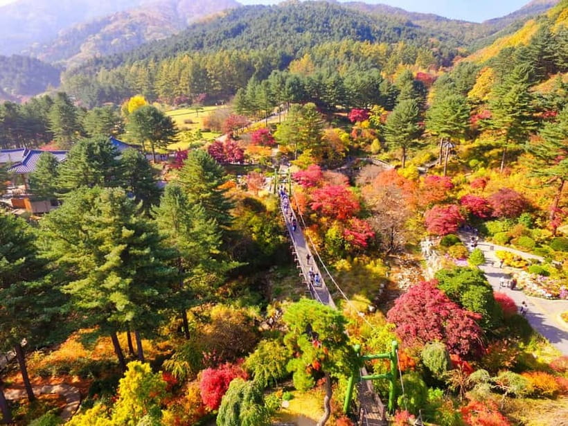 Seoul: Pocheon Art Valley, Garden and Fruit Picking Day Tour - Weather, timing, and small practical choices