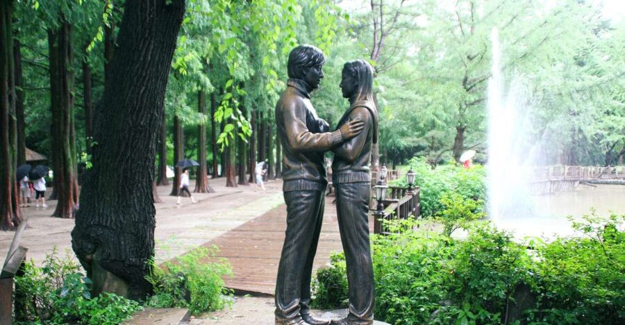 Seoul: Private Customizable Tour to Nami Island and More - What the private driver adds