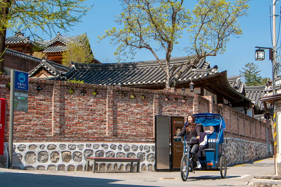 Seoul Private Pedicab Tour : Bukchon Anguk Hanok Village - Palace Walls and Seoul’s Layers of History