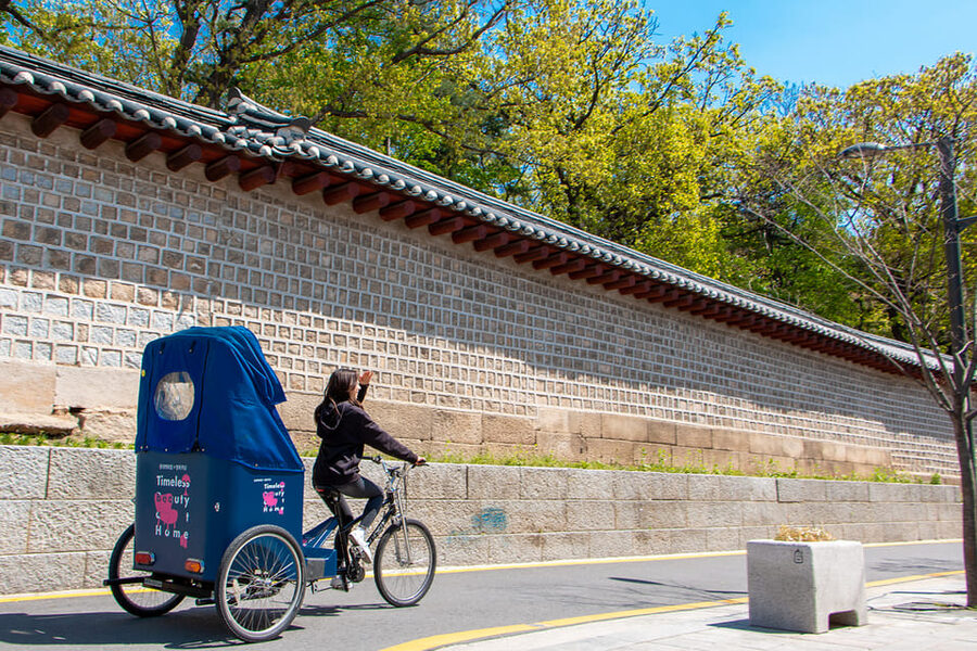 Seoul Private Pedicab Tour : Bukchon Anguk Hanok Village - Practical Details Before You Reserve