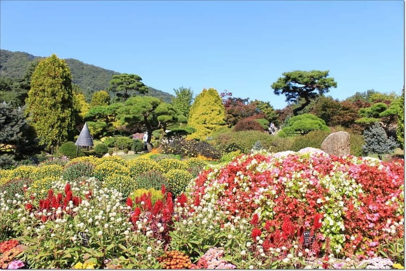 Seoul: Private Tour to Nami Island, Garden, Petite France - Why this Seoul day trip works